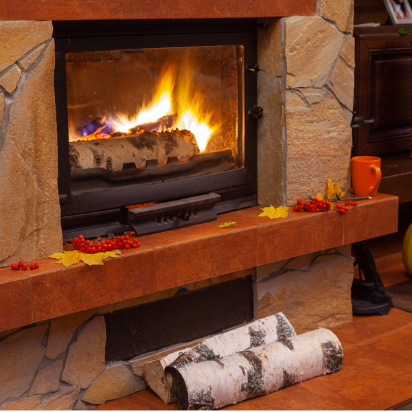 Fireplace Cleaning Dentin, FL