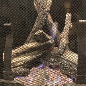 Gulf Coast Area Modern Style Gas Fireplaces